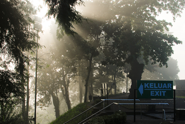 Borobudur fog just after sunrise