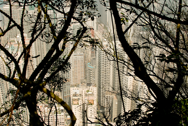 Hong Kong Peak - Victoria Peak - View Through Trees