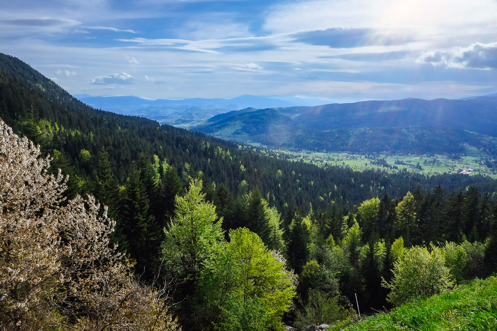 bosnia mountain view