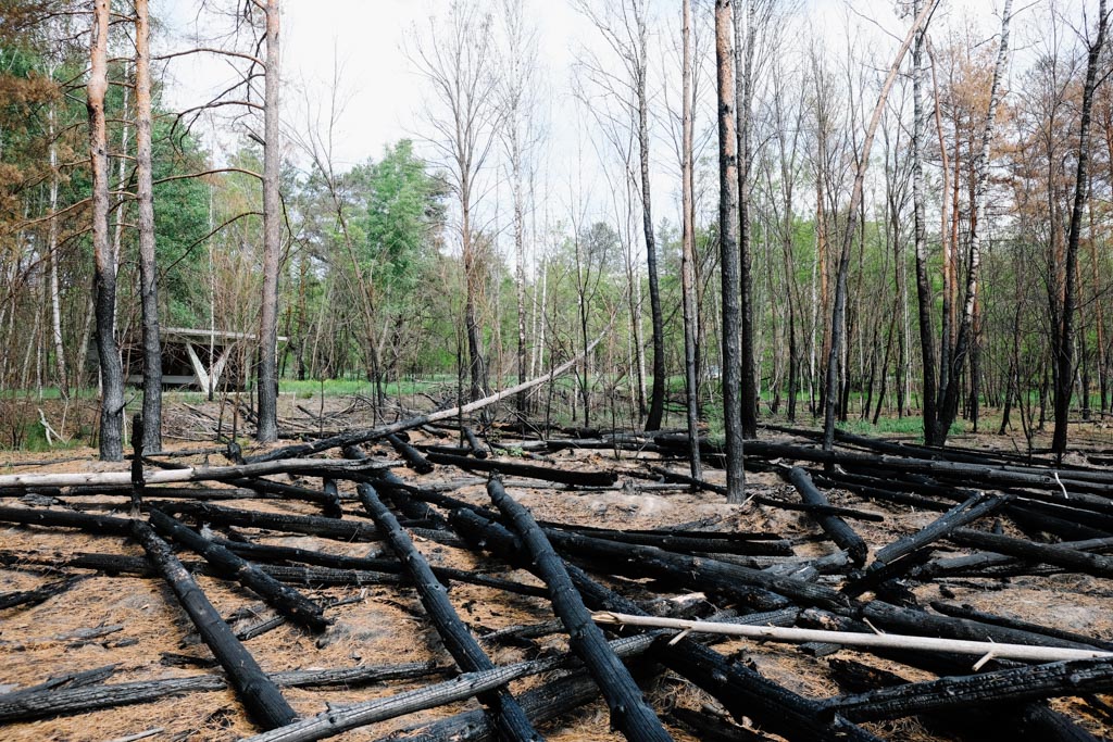 chernobyl fire damage