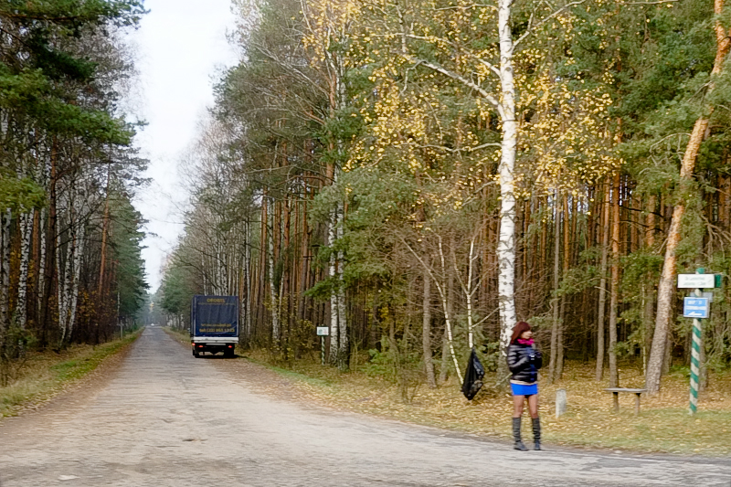 Polish Prostitutes Meet The Forest Whores Outside Of Warsaw 