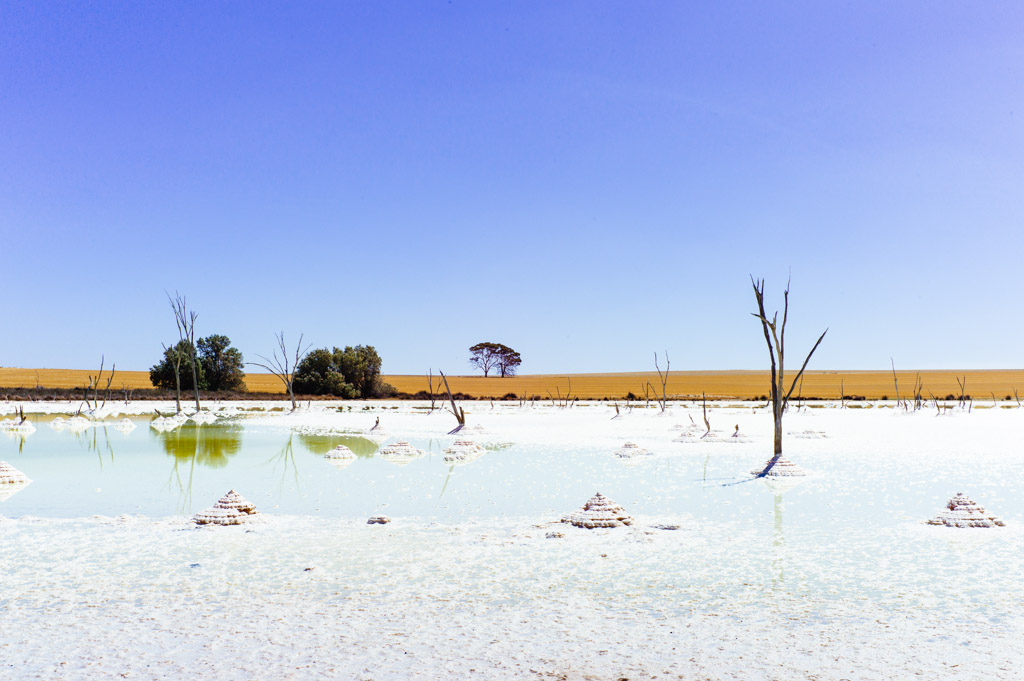 quairading environment destruction