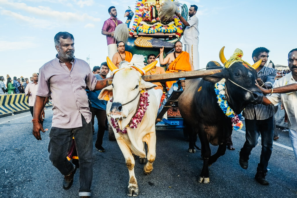 thaipusam 2017