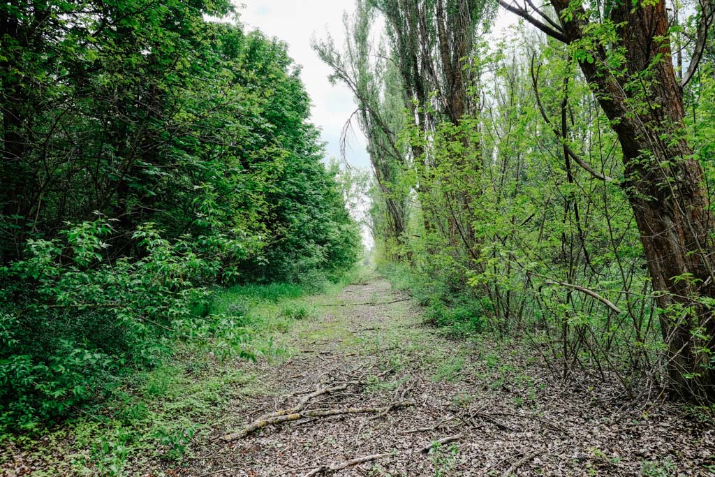 typical pripyat streets